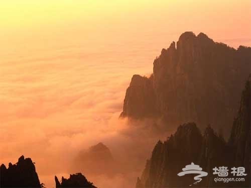 泰山