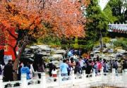 香山红叶节24天游客超百万