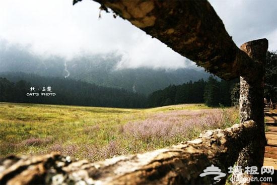 玉龙半山腰有一处被称为“情死之地”的云杉坪，传说云杉坪是纳西族第一对情人殉情之地(图片来源：可乐猫)