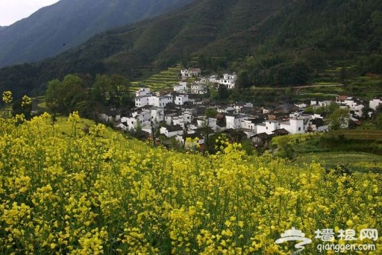 婺源美景