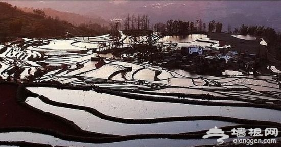 梯田美景