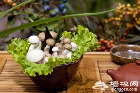 兰庭玉树原生态滇味 秋收蘑菇宴：美庭院 慢生活[墙根网]