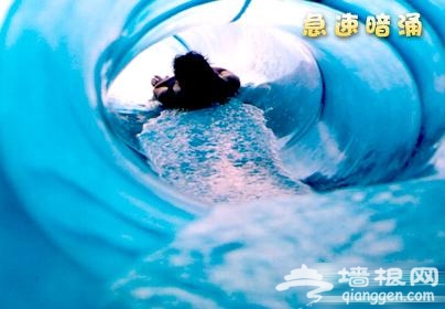 水立方嬉水乐园 11大项目精彩无极限