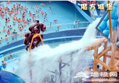 水立方嬉水乐园 11大项目精彩无极限