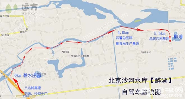 冬日下的芦苇荡：摄影天堂沙河水库