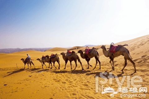 自驾银川 纵情大漠 银川旅游攻略[墙根网]