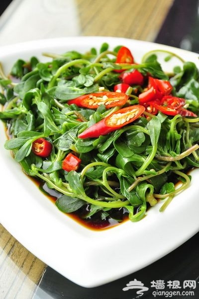 清风香草淡 易馆享美食[墙根网]