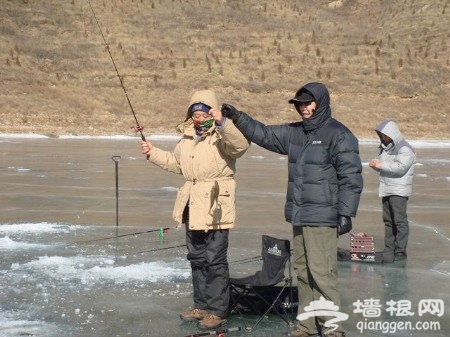另类玩法过春节 京城冰上垂钓乐趣无穷(图)