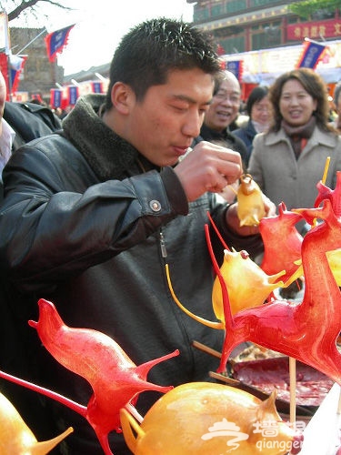 2011年全国春节庙会大什锦