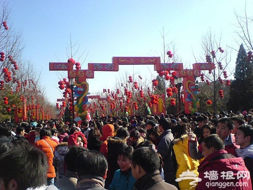 2011年全国春节庙会大什锦