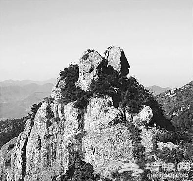兔年游兔景 国内“兔子”景点大推荐