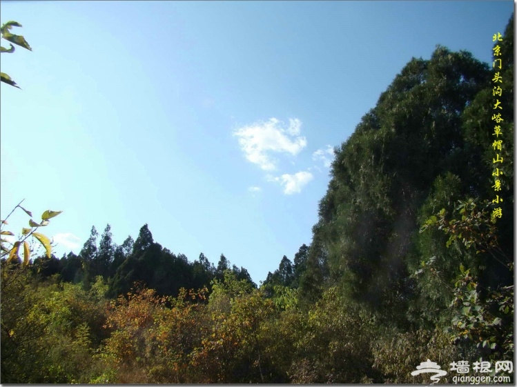 山虽小山顶依然风光 - 小游草帽山 - 机灵 - 机灵的博客