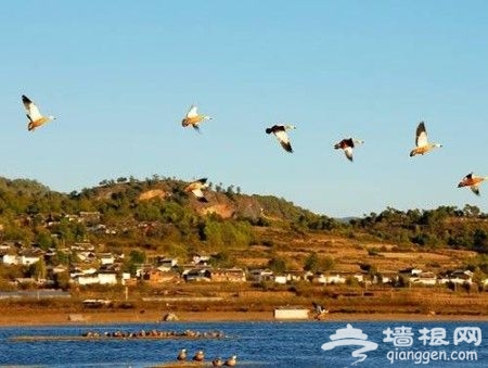 达人省钱攻略:花最少的钱游最美的云南