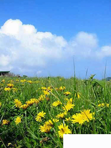 赏花登山赏美景 北京三月春游好去处