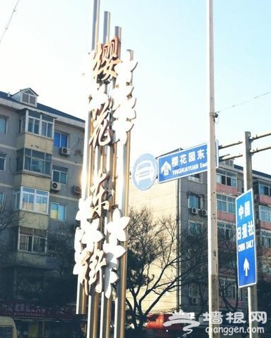 搜街东三环樱花东街 学院派最爱外贸店推荐