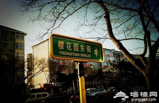 搜街东三环樱花东街 学院派最爱外贸店推荐