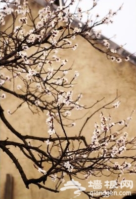 昌平春游登山赏花好去处[墙根网]