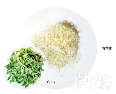 苜蓿芽手卷