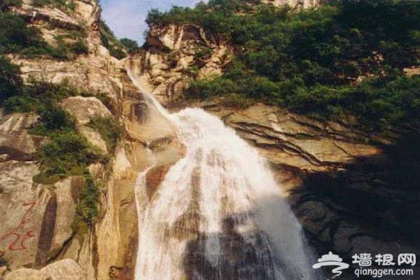 植树踏青两不误 幽谷神坛全体验[墙根网]