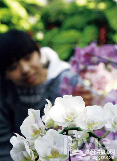闻香入室寻春花 北京必去的花卉温室[墙根网]