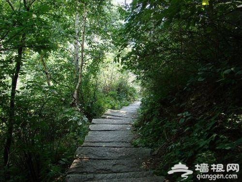 雾灵山
