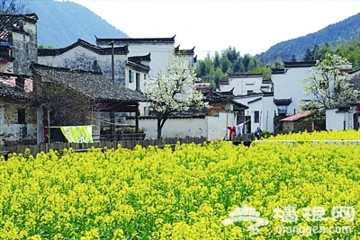 我们一起去游"花花世界"[墙根网]