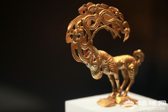 陕博金怪兽 陕博金怪兽