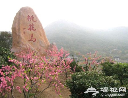 奔向五大桃花岛 艳遇专属你的桃花[墙根网]