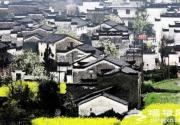 北京婺源自驾游攻略 油菜花田美不胜收