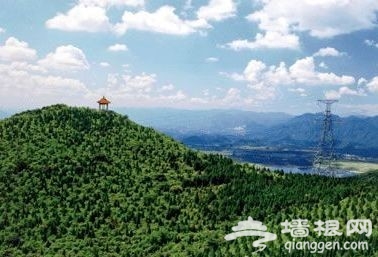 京郊寻春觅绿 森林公园里绿地是享受[墙根网]