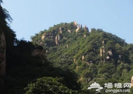 京郊寻春觅绿 森林公园里绿地是享受[墙根网]