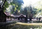 清明游成都 文化吃喝须尽欢
