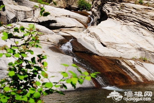 北京周边 清明出游六大美景[墙根网]