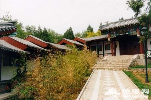 北京周边 清明出游六大美景[墙根网]