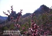 响水湖景区清明养生活动登场 可免费品用养生午餐