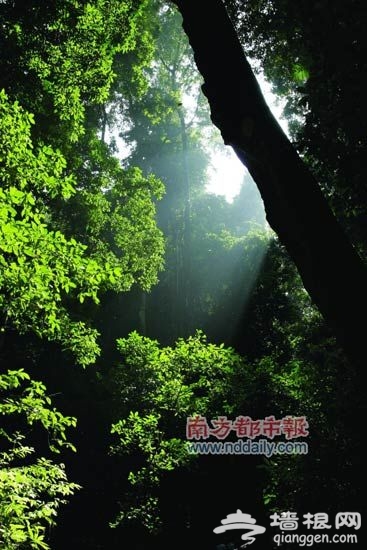 雨林迷城 触摸西双版纳原生态之美