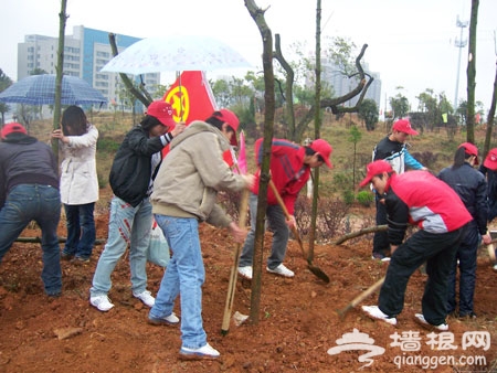 云蒙山2011年“我为森林添风采”植树之旅活动