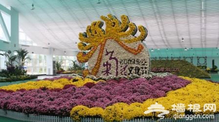 2011北京国际鲜花港秋季菊花展将给力国庆节