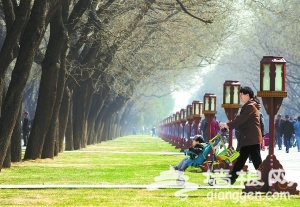 北京天坛公园草坪返青 游客自觉保护