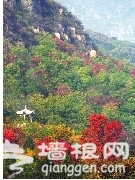 80元旅游年卡玩转京郊[墙根网]