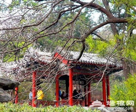香山公园