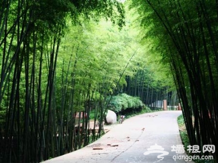 绝色四川 清明小长假四川风情自驾线路推荐[墙根网]