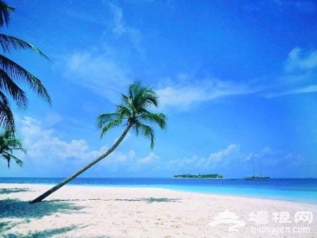 同样习俗不同风情 清明玩转10大最美城市[墙根网]