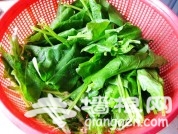 菠鸡小丝[墙根网]