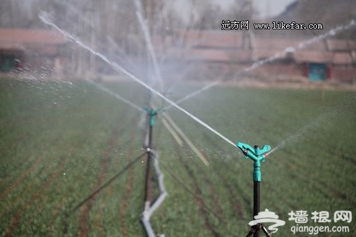 灌溉滋养 摄影：小莫