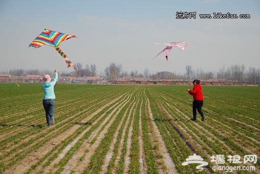 006畅快的跑起来 摄影：王咩咩