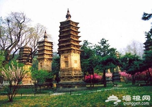 清明自驾潭柘寺 踏青祈福追思故人