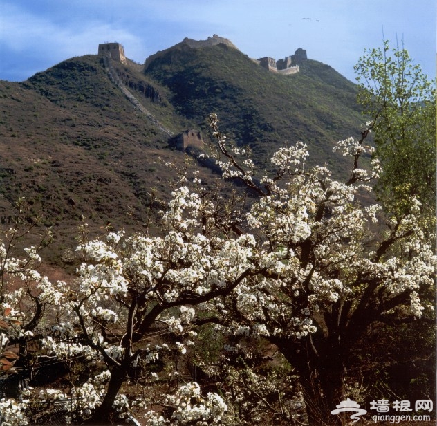 寻“密”春天赏花之旅[墙根网]