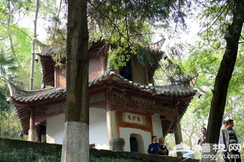 园中景色 园中景色