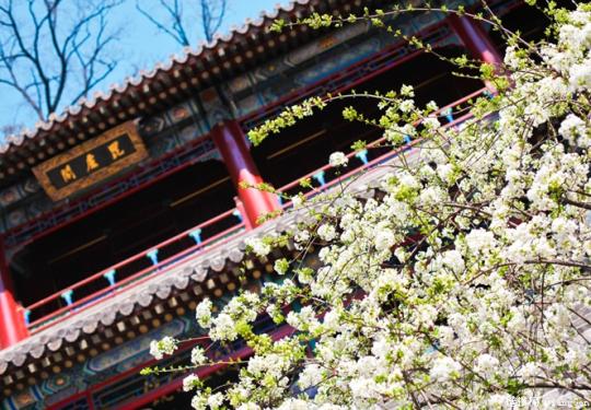 春日踏青潭柘寺 千年古刹“今何在”